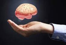 10 Useful Tips To Keep Your Brain Healthy