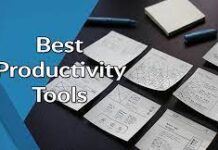 Enhance Productivity with Employee Management Software