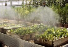 A Brief Guide To Greenhouse Misting Systems