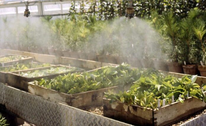 A Brief Guide To Greenhouse Misting Systems