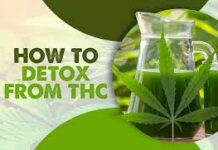 Best Information on THC detox products