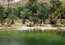 Beautiful Wadis in Oman for a Relaxing Holiday