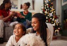 Make your home more Energy Efficient this Christmas.
