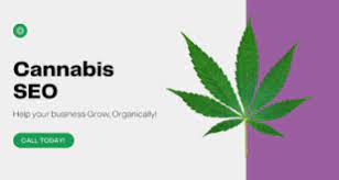 How To Run SEO for Cannabis Content