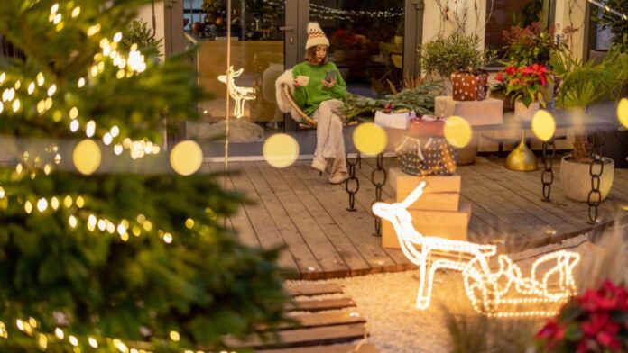 Outdoor Holiday Decorations Reviews