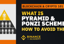 How Can You Avoid Crypto Ponzi and Pyramid Schemes?