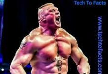 Brock Lesnar Net Worth