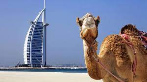Discover The Wonders Of Dubai’s Top Holiday Destinations