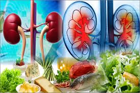 Eat These Seven Things For Good Kidney Health