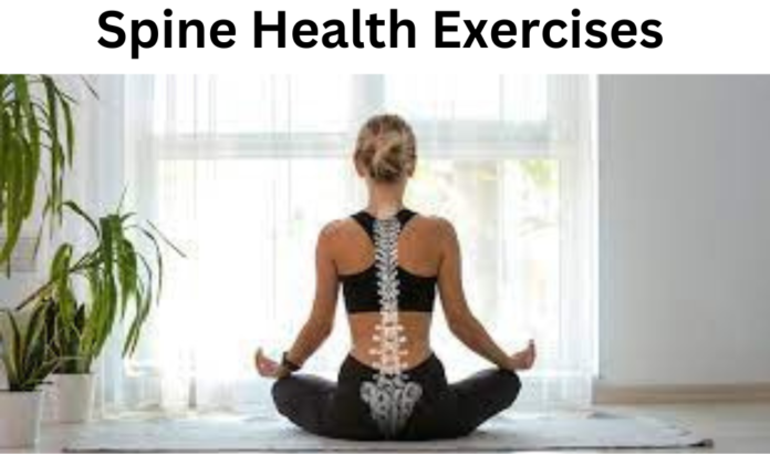 Spine Health Exercises