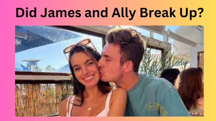 Did James and Ally Break Up?