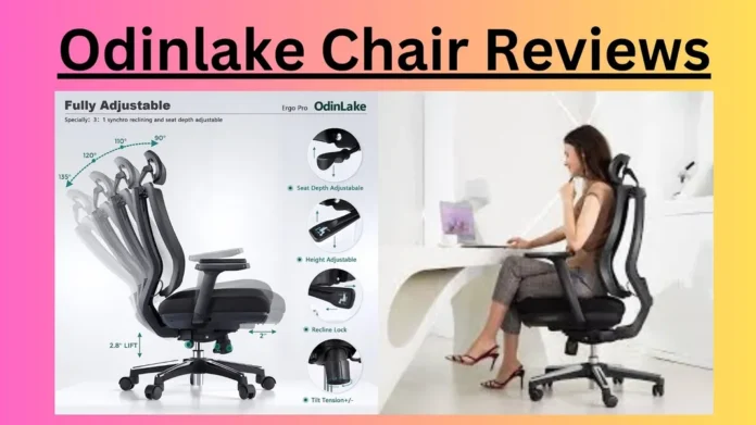 Odinlake Chair Reviews