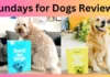 Sundays for Dogs Reviews