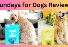 Sundays for Dogs Reviews