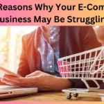 Top 4 Reasons Why Your E-Commerce Business May Be Struggling