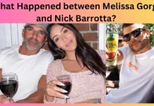 What Happened between Melissa Gorga and Nick Barrotta?