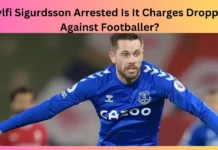 Gylfi Sigurdsson Arrested Is It Charges Dropped Against Footballer?