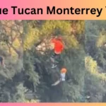 Parque Tucan Monterrey Video