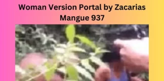 Woman Version Portal by Zacarias Mangue 937
