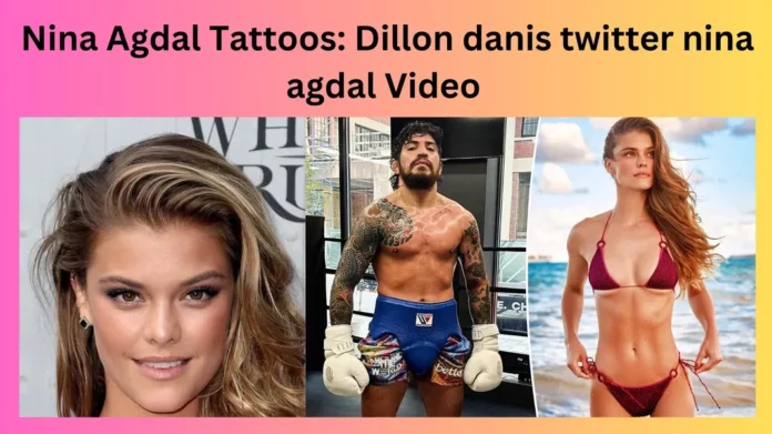 Nina Agdal Tattoos: Dillon danis twitter nina agdal Video