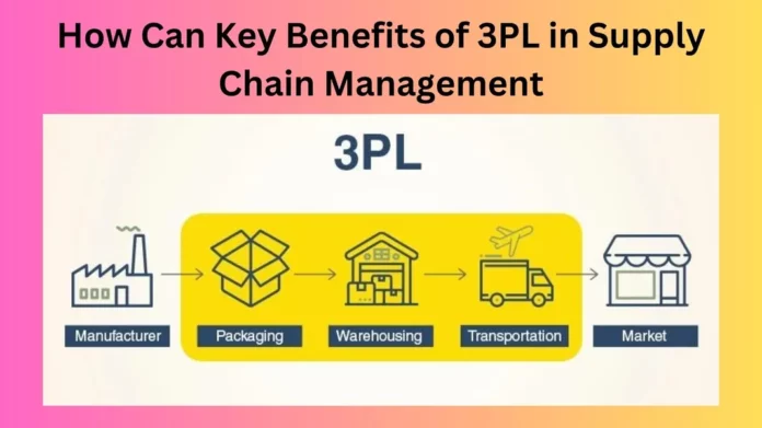 How Can Key Benefits of 3PL in Supply Chain Management