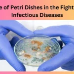 The Role of Petri Dishes in the Fight Against Infectious Diseases