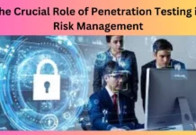 The Crucial Role of Penetration Testing in Risk Management