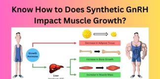 Know How to Does Synthetic GnRH Impact Muscle Growth?