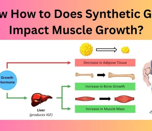 Know How to Does Synthetic GnRH Impact Muscle Growth?
