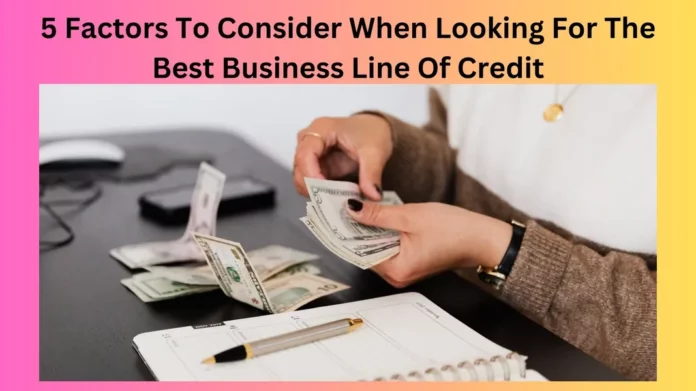 5 Factors To Consider When Looking For The Best Business Line Of Credit