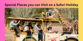 Special Places you can Visit on a Safari Holiday