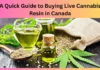 A Quick Guide to Buying Live Cannabis Resin in Canada