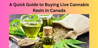 A Quick Guide to Buying Live Cannabis Resin in Canada
