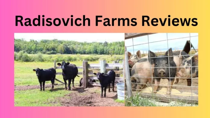 Radisovich Farms Reviews