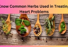 Know Common Herbs Used in Treating Heart Problems