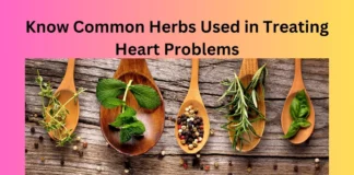 Know Common Herbs Used in Treating Heart Problems