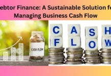 Debtor Finance: A Sustainable Solution for Managing Business Cash Flow