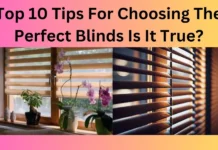 Top 10 Tips For Choosing The Perfect Blinds Is It True?