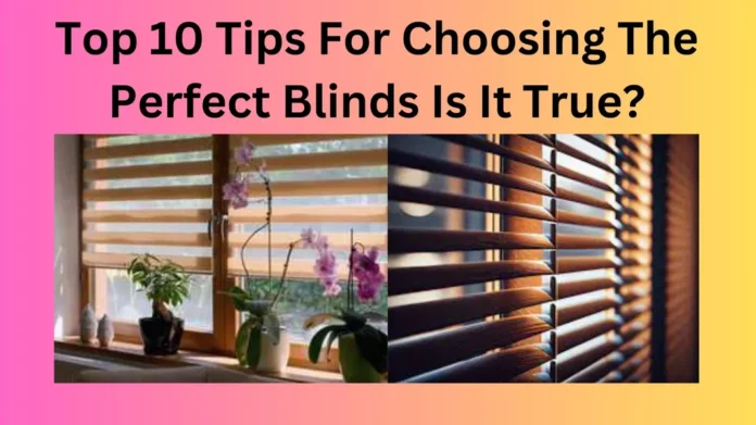 Top 10 Tips For Choosing The Perfect Blinds Is It True?