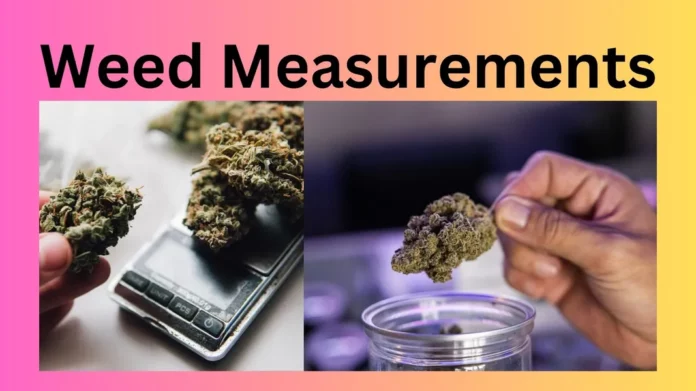 Weed Measurements