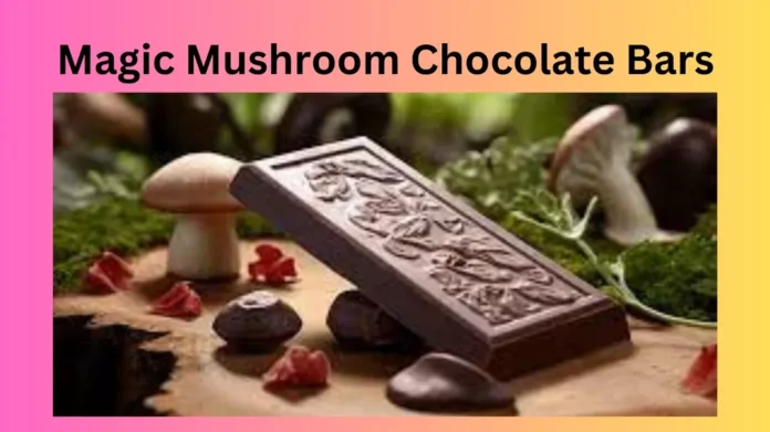 Magic Mushroom Chocolate Bars