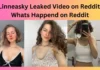 Linneasky Leaked Video on Reddit