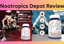 Nootropics Depot Review