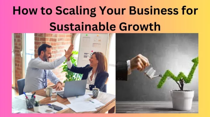 How to Scaling Your Business for Sustainable Growth