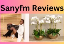 Sanyfm Reviews