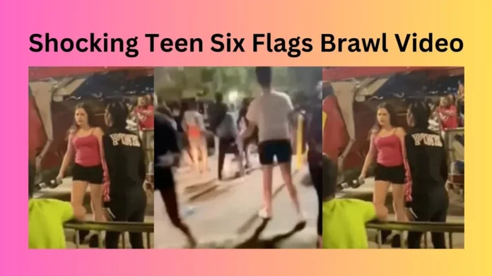 Shocking Teen Six Flags Brawl Video