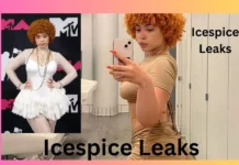 Icespice Leaks