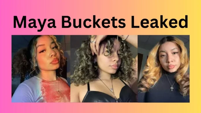 Maya Buckets Leaked