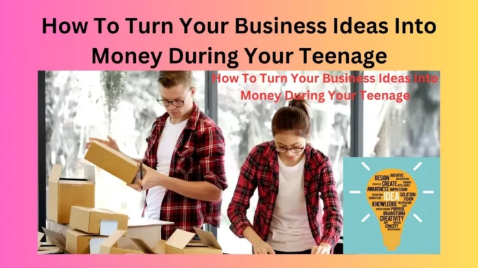 How To Turn Your Business Ideas Into Money During Your Teenage