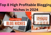 Top 8 High Profitable Blogging Niches in 2024